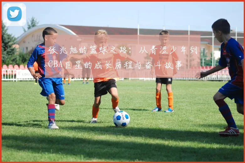 张兆旭的篮球之路：从青涩少年到CBA巨星的成长历程与奋斗故事