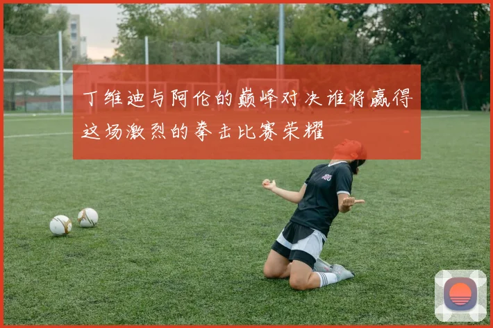 丁维迪与阿伦的巅峰对决谁将赢得这场激烈的拳击比赛荣耀