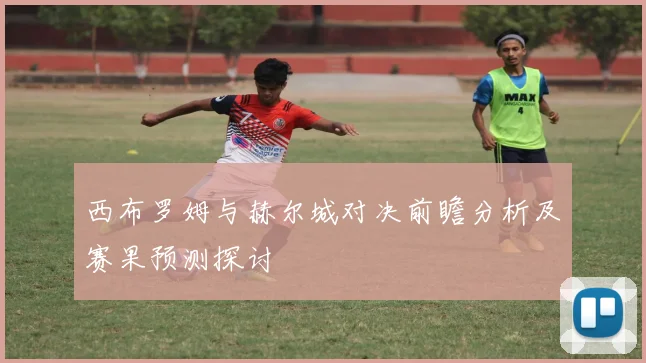 西布罗姆与赫尔城对决前瞻分析及赛果预测探讨